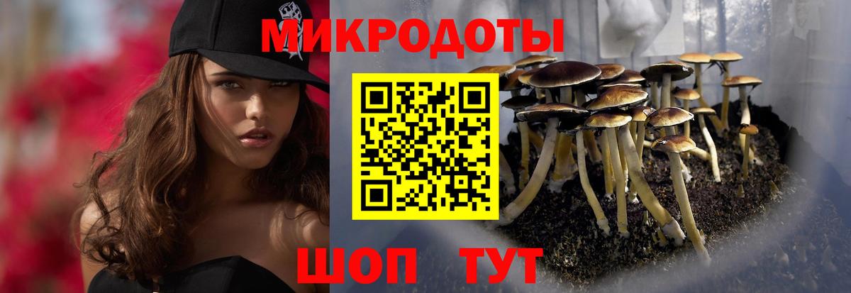 Улан-Удэ  Псилоцибиновые грибы Psilocybine cubensis  сколько стоит  Вход с VPN 